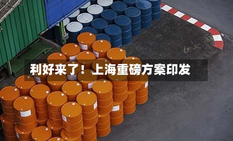 利好来了！上海重磅方案印发