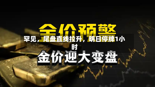 罕见	，尾盘直线拉升，明日停牌1小时-第3张图片