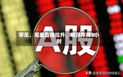 罕见，尾盘直线拉升，明日停牌1小时-第2张图片