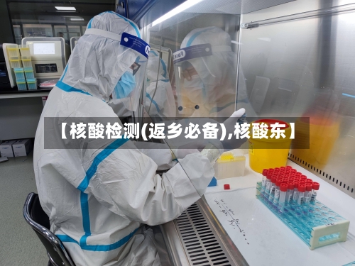 【核酸检测(返乡必备),核酸东】-第3张图片