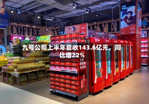 九号公司上半年营收143.6亿元	，同比增22%-第2张图片