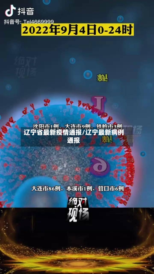 辽宁省最新疫情通报/辽宁最新病例通报-第3张图片