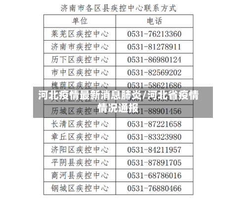 河北疫情最新消息肺炎/河北省疫情情况通报-第2张图片