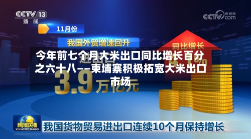 今年前七个月大米出口同比增长百分之六十八——柬埔寨积极拓宽大米出口市场