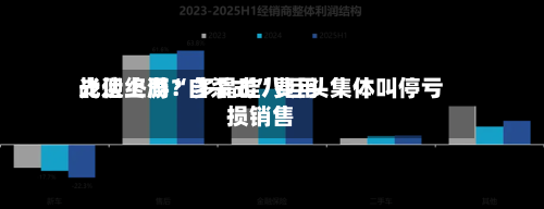 光伏上游“自杀式”费用战迎终局？多晶硅八巨头集体叫停亏损销售-第2张图片