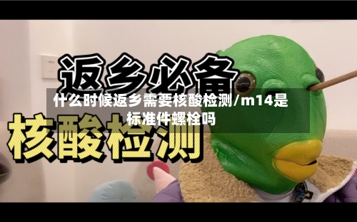 什么时候返乡需要核酸检测/m14是标准件螺栓吗-第3张图片