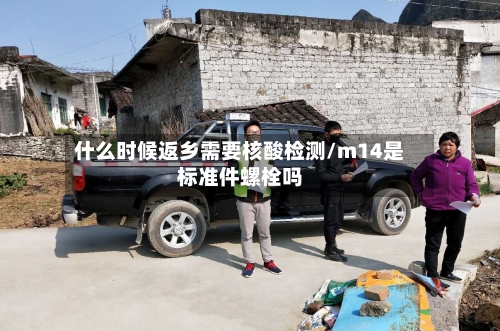 什么时候返乡需要核酸检测/m14是标准件螺栓吗-第2张图片