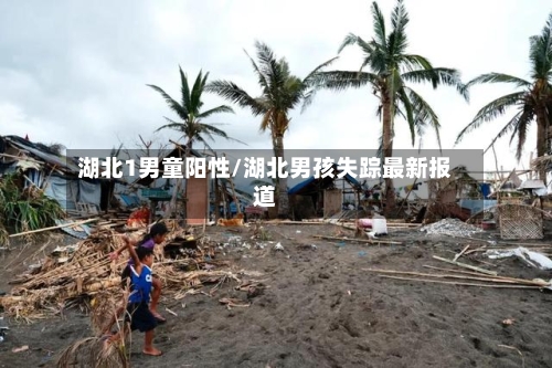 湖北1男童阳性/湖北男孩失踪最新报道