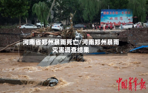 河南省郑州暴雨死亡/河南郑州暴雨灾害调查结果-第2张图片