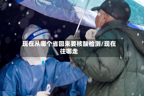 现在从哪个省回来要核酸检测/现在往哪走