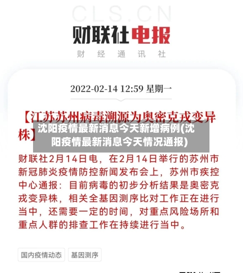 沈阳疫情最新消息今天新增病例(沈阳疫情最新消息今天情况通报)-第3张图片