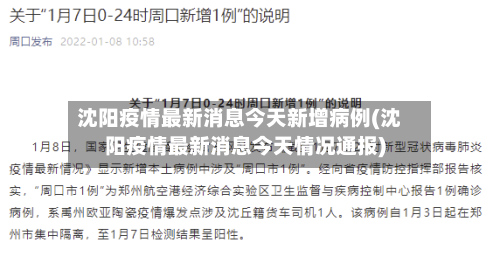 沈阳疫情最新消息今天新增病例(沈阳疫情最新消息今天情况通报)-第2张图片