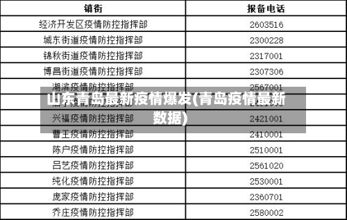 山东青岛最新疫情爆发(青岛疫情最新数据)-第2张图片