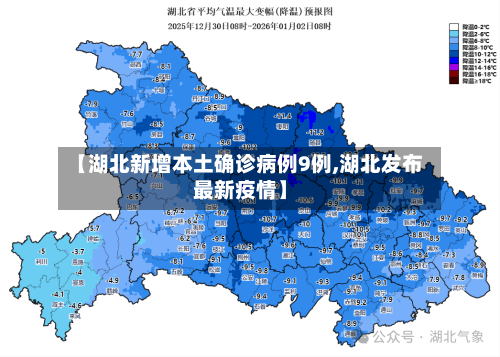 【湖北新增本土确诊病例9例,湖北发布最新疫情】