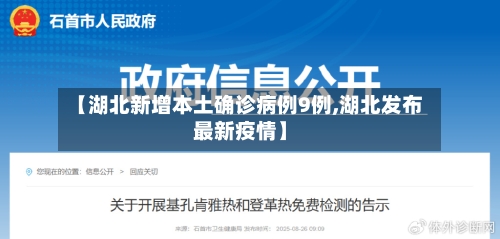 【湖北新增本土确诊病例9例,湖北发布最新疫情】-第3张图片