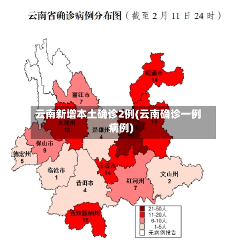 云南新增本土确诊2例(云南确诊一例病例)