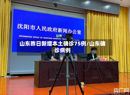 山东昨日新增本土确诊75例/山东确诊病例