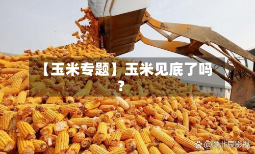 【玉米专题】玉米见底了吗？-第3张图片