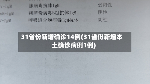 31省份新增确诊14例(31省份新增本土确诊病例1例)