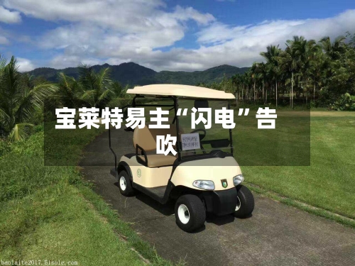 宝莱特易主“闪电”告吹-第3张图片