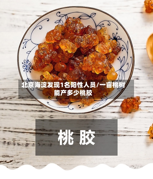 北京海淀发现1名阳性人员/一亩桃树能产多少桃胶