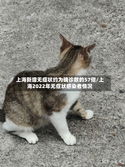 上海新增无症状约为确诊数的57倍/上海2022年无症状感染者情况