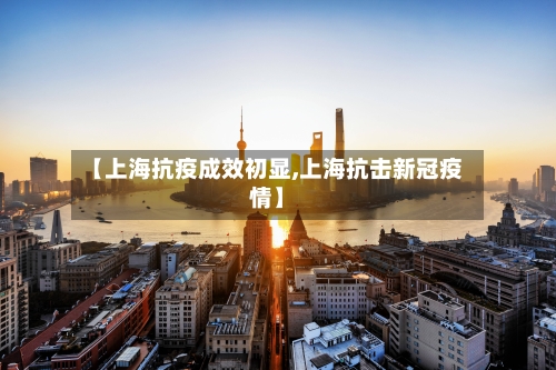 【上海抗疫成效初显,上海抗击新冠疫情】-第3张图片