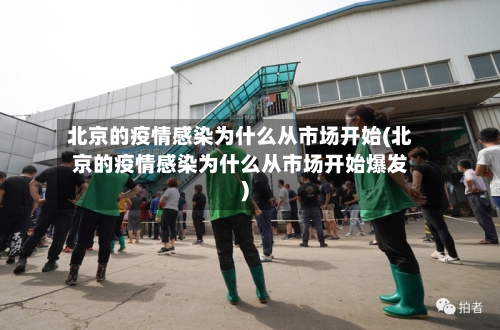 北京的疫情感染为什么从市场开始(北京的疫情感染为什么从市场开始爆发)