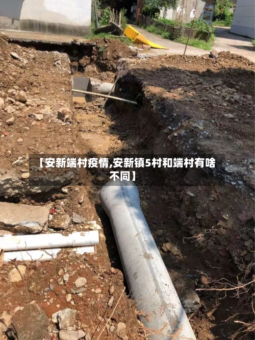 【安新端村疫情,安新镇5村和端村有啥不同】-第3张图片