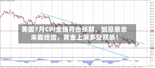 美国7月CPI全线符合预期，加息悬念未能终结，黄金上演多空双杀！