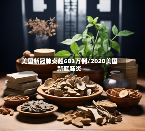 美国新冠肺炎超683万例/2020美国新冠肺炎