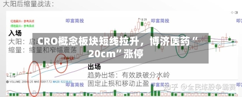 CRO概念板块短线拉升，博济医药“20cm”涨停