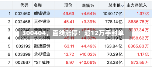 300404，直线涨停！超12万手封单-第3张图片