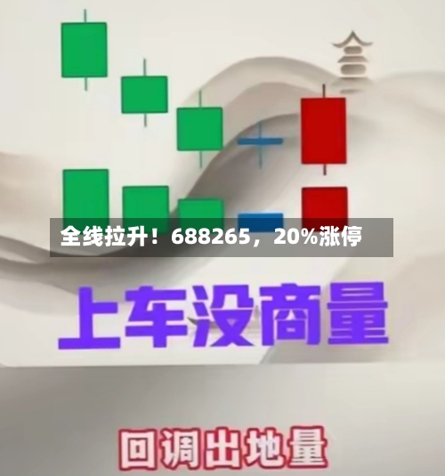 全线拉升！688265，20%涨停-第2张图片