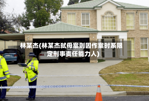 林某杰(林某杰弑母案则因作案时系限定刑事责任能力人)-第2张图片