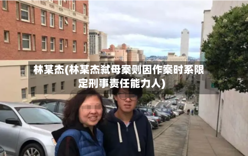 林某杰(林某杰弑母案则因作案时系限定刑事责任能力人)-第3张图片