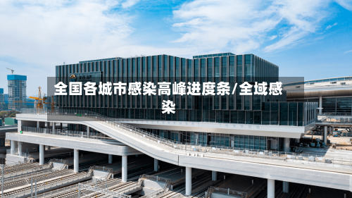 全国各城市感染高峰进度条/全域感染
