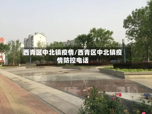 西青区中北镇疫情/西青区中北镇疫情防控电话-第2张图片