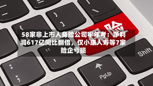 58家非上市人身险公司半年考：净利润617亿同比翻倍，仅小康人寿等7家险企亏损