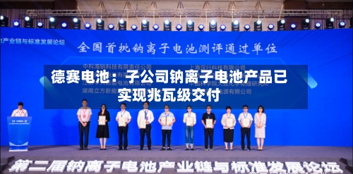 德赛电池：子公司钠离子电池产品已实现兆瓦级交付-第2张图片