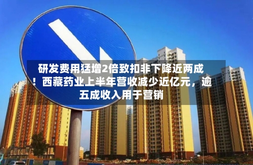 研发费用猛增2倍致扣非下降近两成！西藏药业上半年营收减少近亿元，逾五成收入用于营销-第3张图片