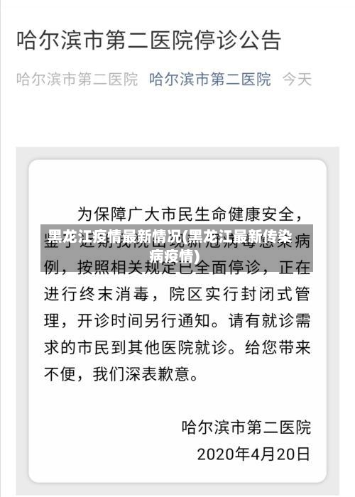 黑龙江疫情最新情况(黑龙江最新传染病疫情)-第3张图片