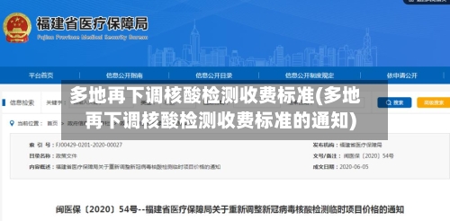 多地再下调核酸检测收费标准(多地再下调核酸检测收费标准的通知)-第2张图片