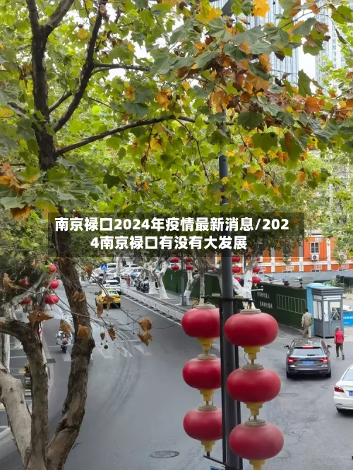 南京禄口2024年疫情最新消息/2024南京禄口有没有大发展