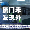 厦门未发现外溢病例(厦门最近传说有病毒是真的吗)