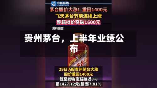 贵州茅台，上半年业绩公布