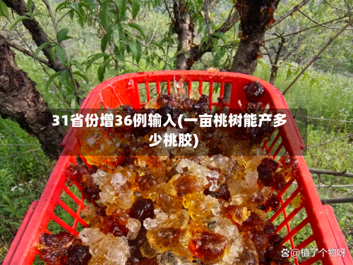 31省份增36例输入(一亩桃树能产多少桃胶)