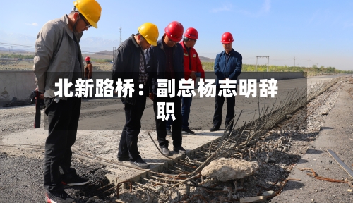 北新路桥：副总杨志明辞职-第2张图片
