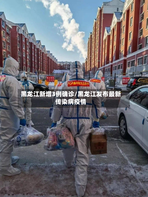 黑龙江新增3例确诊/黑龙江发布最新传染病疫情-第2张图片