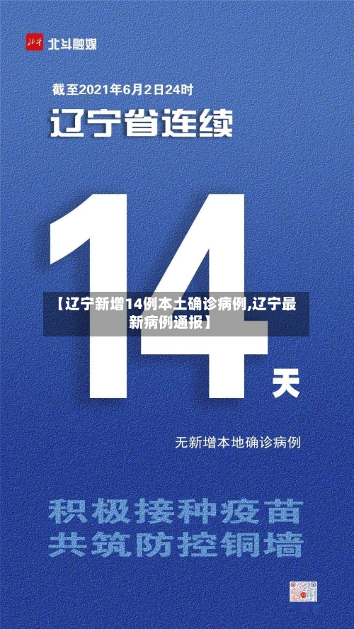 【辽宁新增14例本土确诊病例,辽宁最新病例通报】-第2张图片